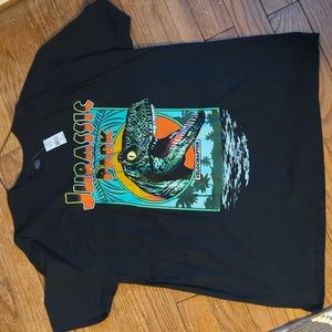 Jurassic Park Men's T-shirt